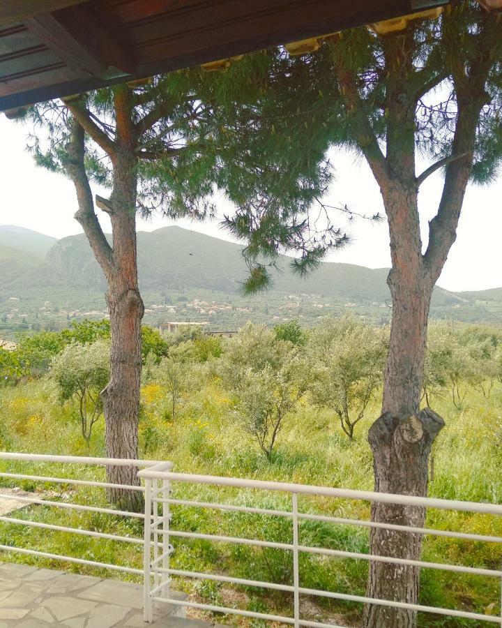 Irini Studios Apartment