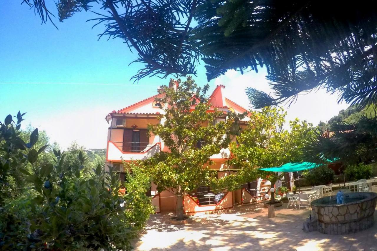 Demi Guest house *