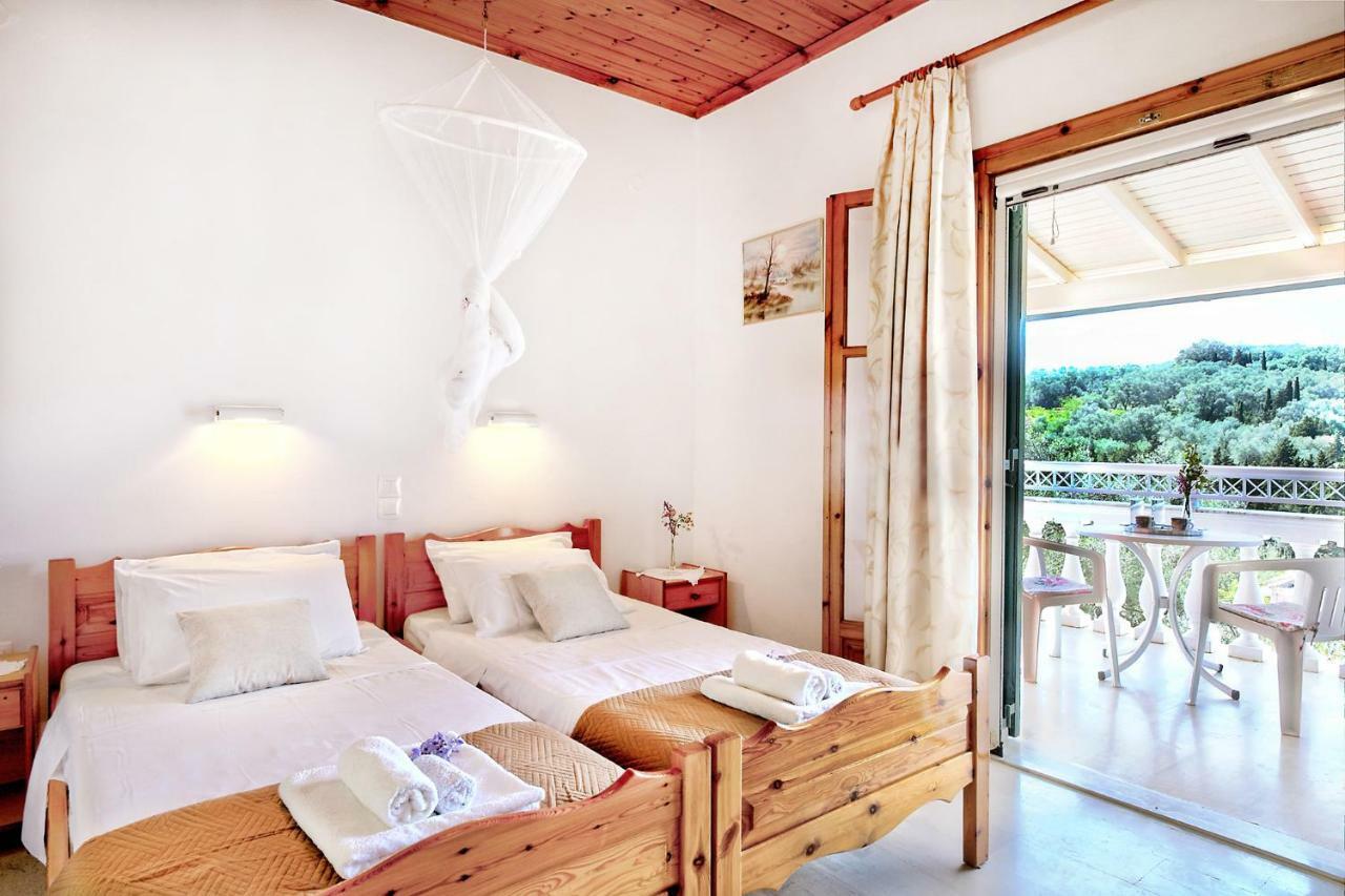 Danai Apartment Agios Georgios Pagon
