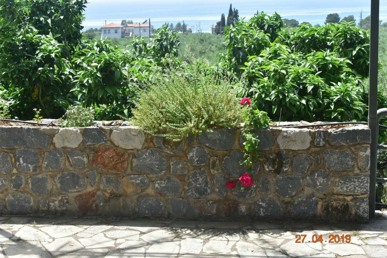 Ouranias Apartment *