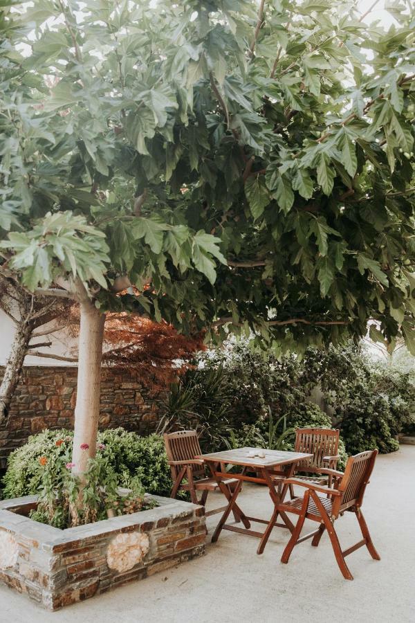 Augustis 3* Ormos (Andros)
