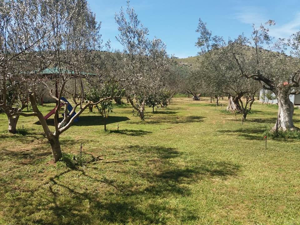Ktima Anastasia Nafplio