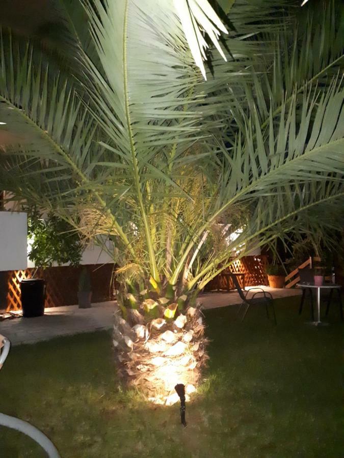 Thea Fresh * Limenas (Thasos)