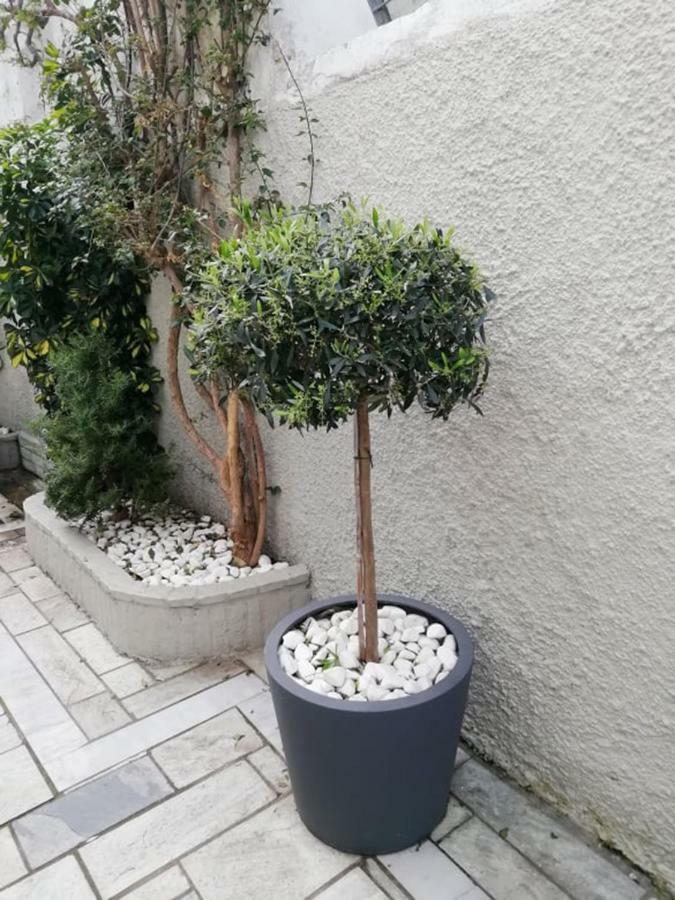 Hotel Pothos