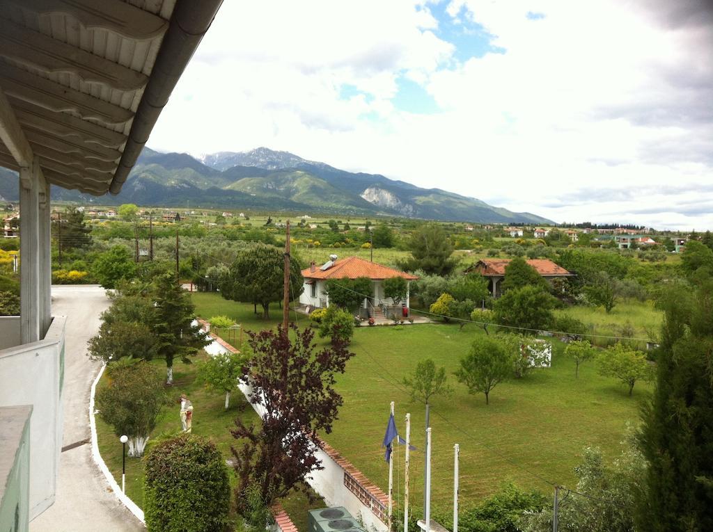 Hotel Great Alexander Plaka Litochorou