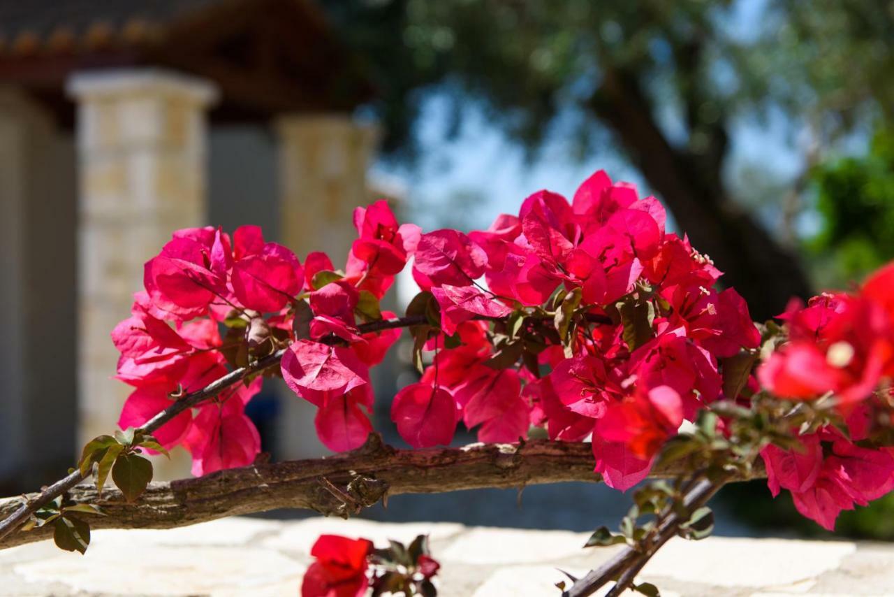 Villa Luxury Lemonia With Private Pool Dassia (Corfu)