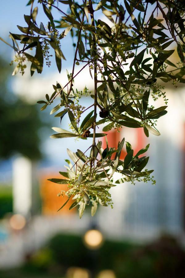 Lily's Holiday home Platanes (Rethymno)