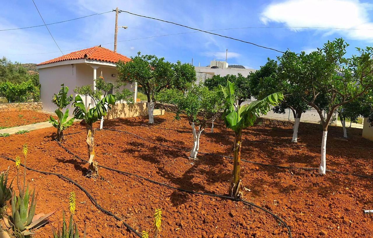 Hotel Maria Sissi (Crete)