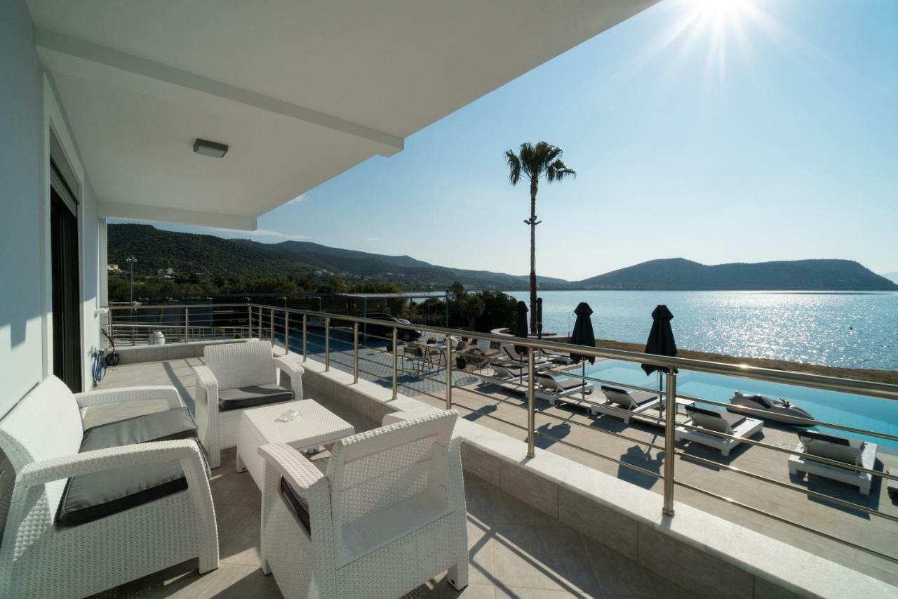 Hotel Dardiza Boutique *