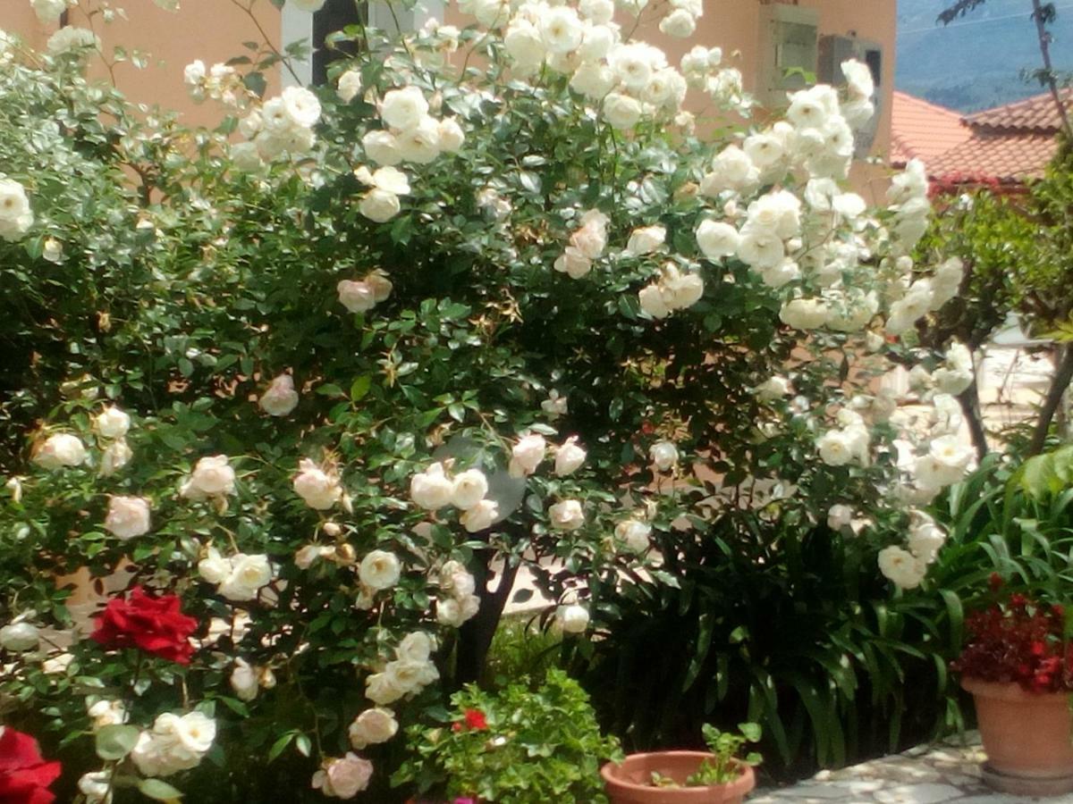 Maria's Paradise *