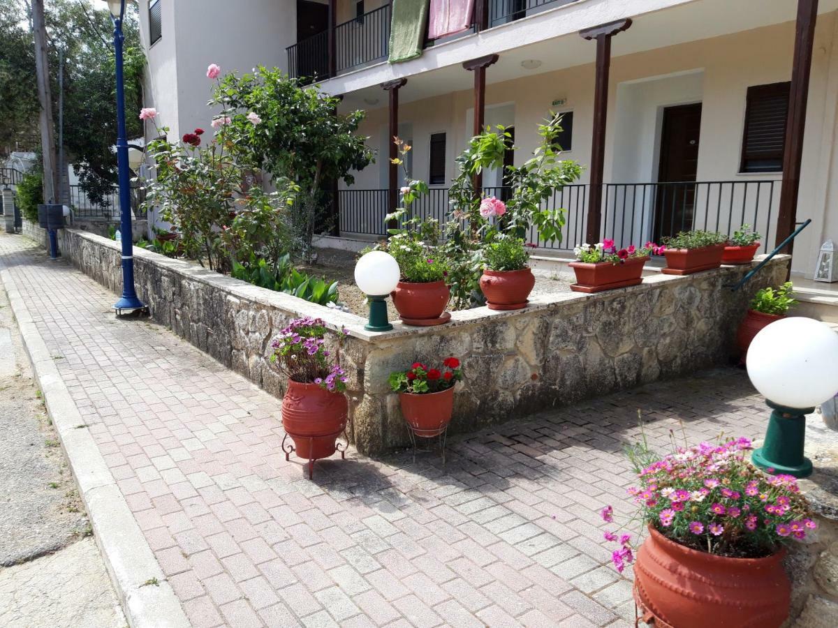 Apartment Alexiadis Agia Paraskevi (Kassandra)