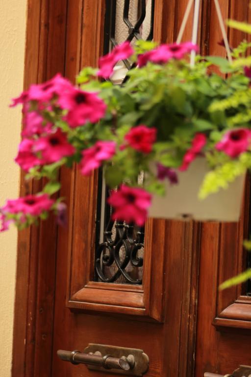 Filyra Guest house *