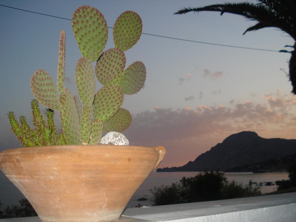 Apartment Skinos Plakias