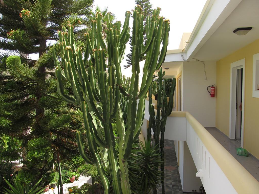 Apartment Afentoulis 2