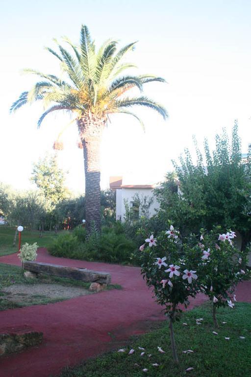 Nea Kydonia & Apartment