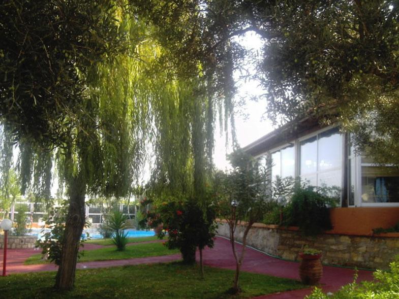 Apartment Nea Kydonia & *