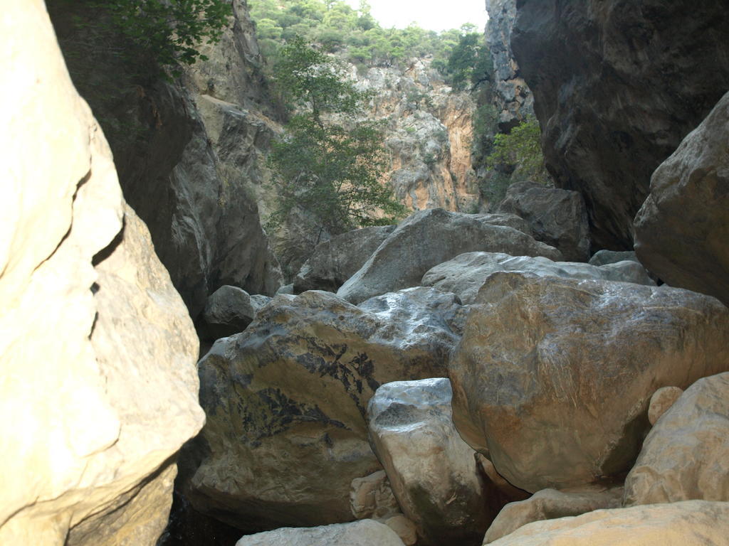 Sarikampos 2*