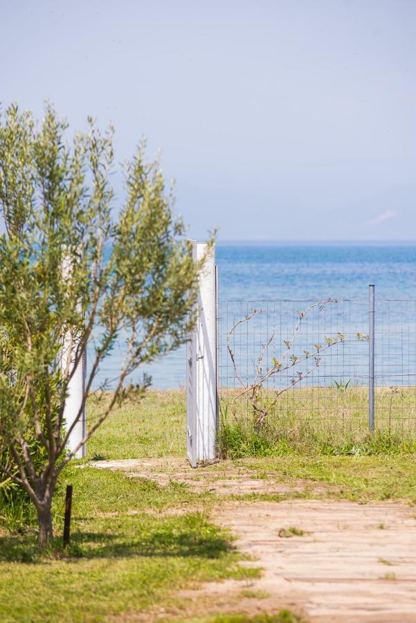 Blue Breeze * Ormos Prinou (Thasos)