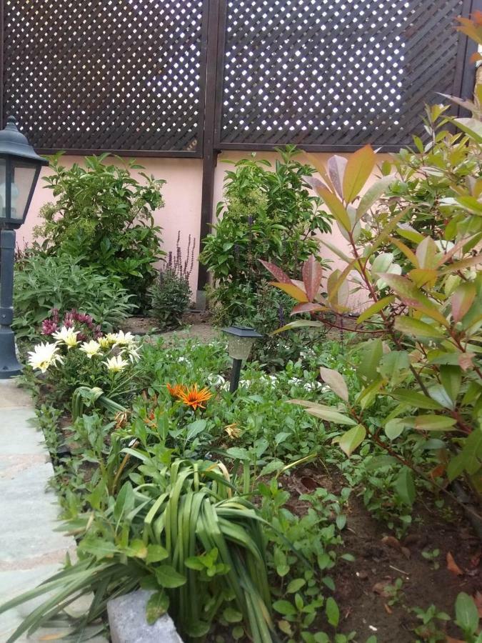 Apartment My 1 Limenas (Thasos)