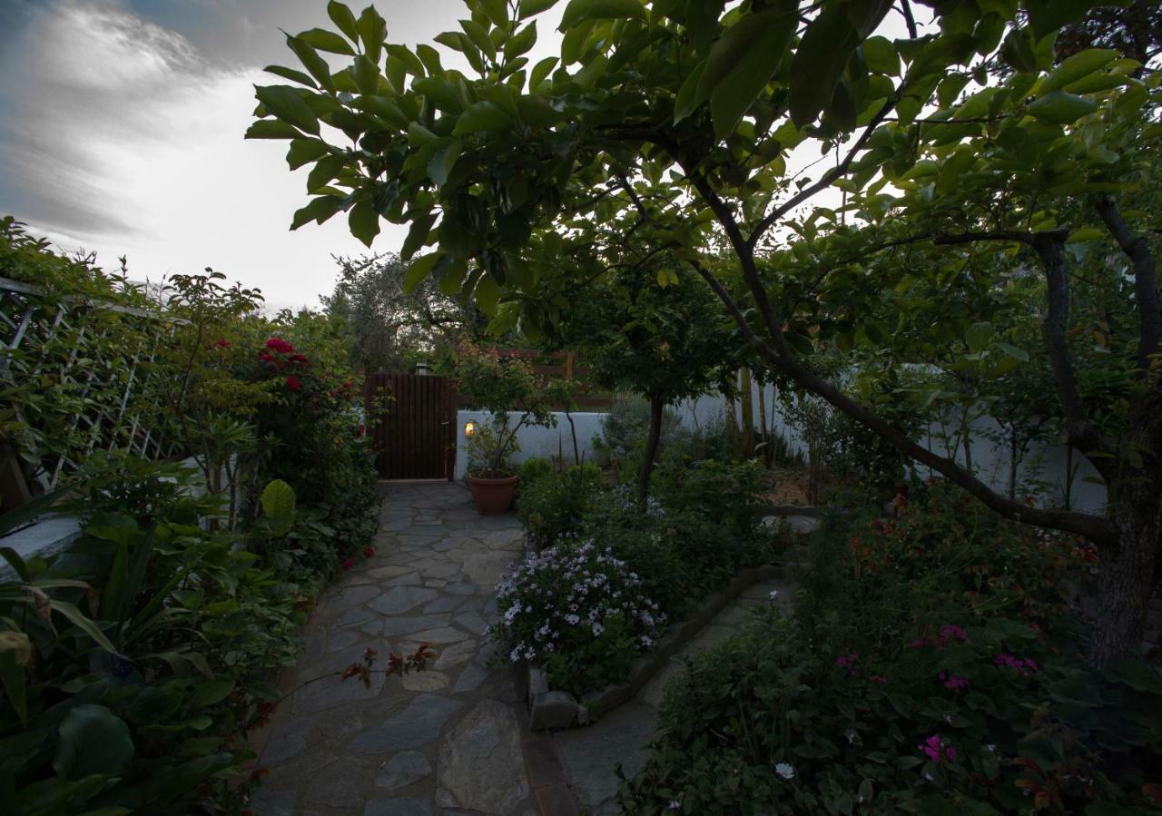 Sea Diamond Holiday home Kato Gatzea