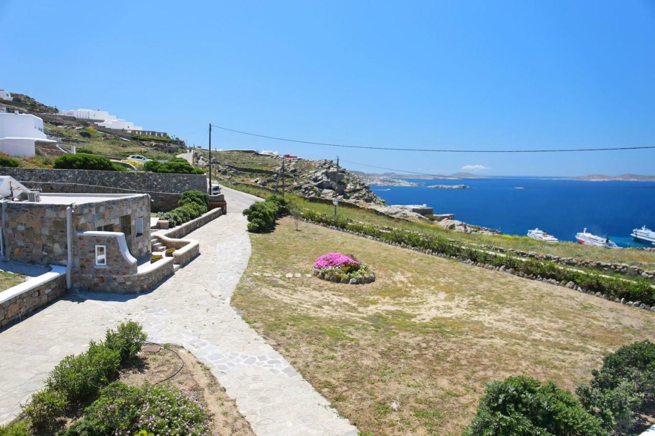 Paradisia * Tourlos