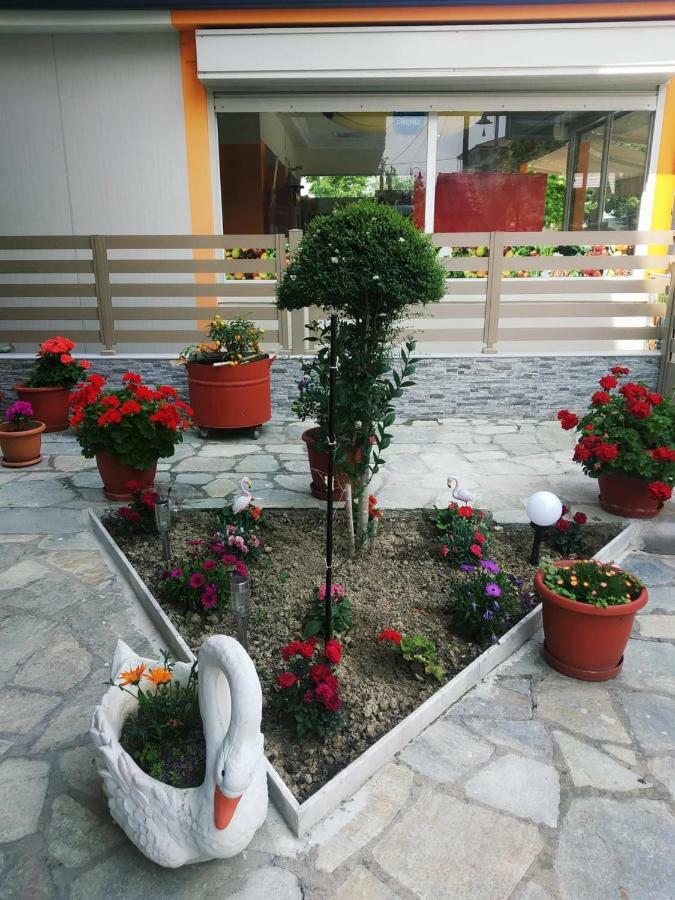 Apartment Dimitra's Olympiaki Akti