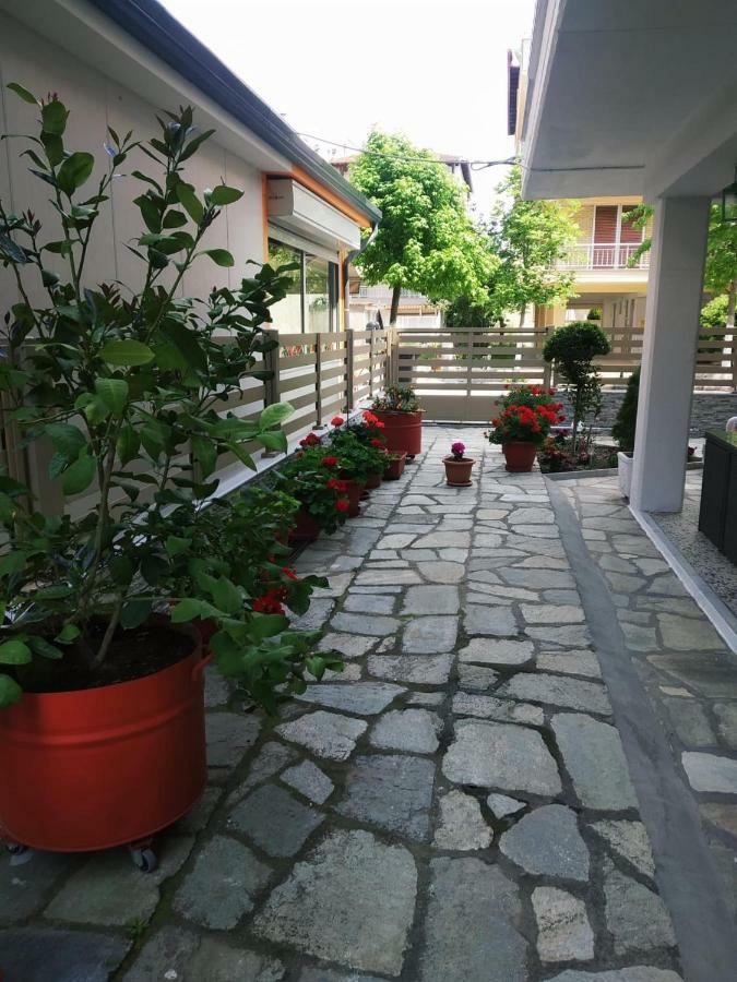 Dimitra's Olympiaki Akti