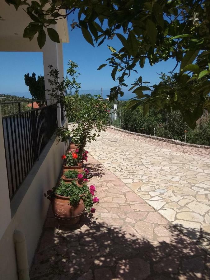Garden Apartment
