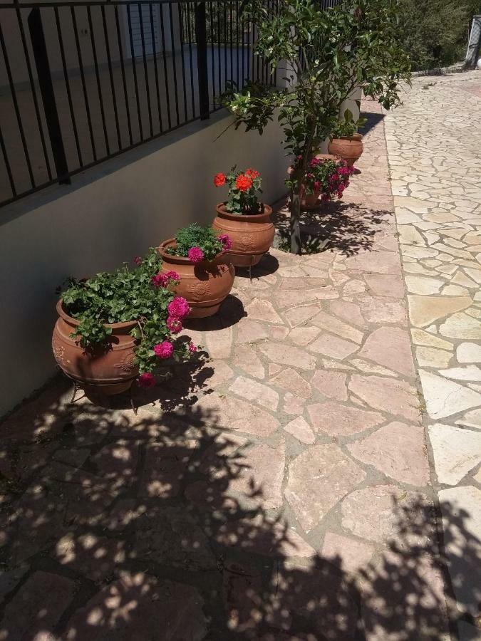 Apartment Garden *