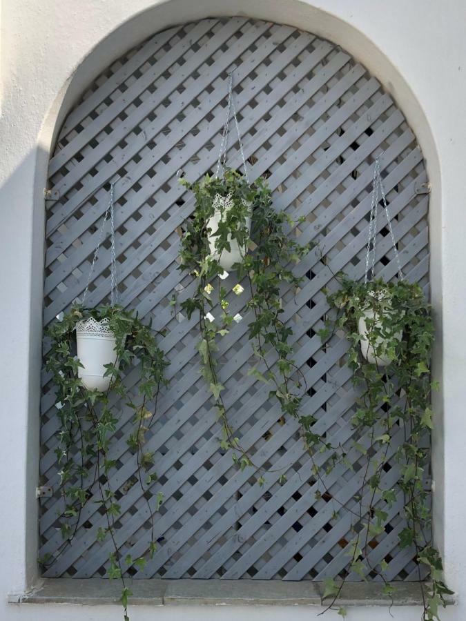 Odysseas & Apartment Naousa (Paros)