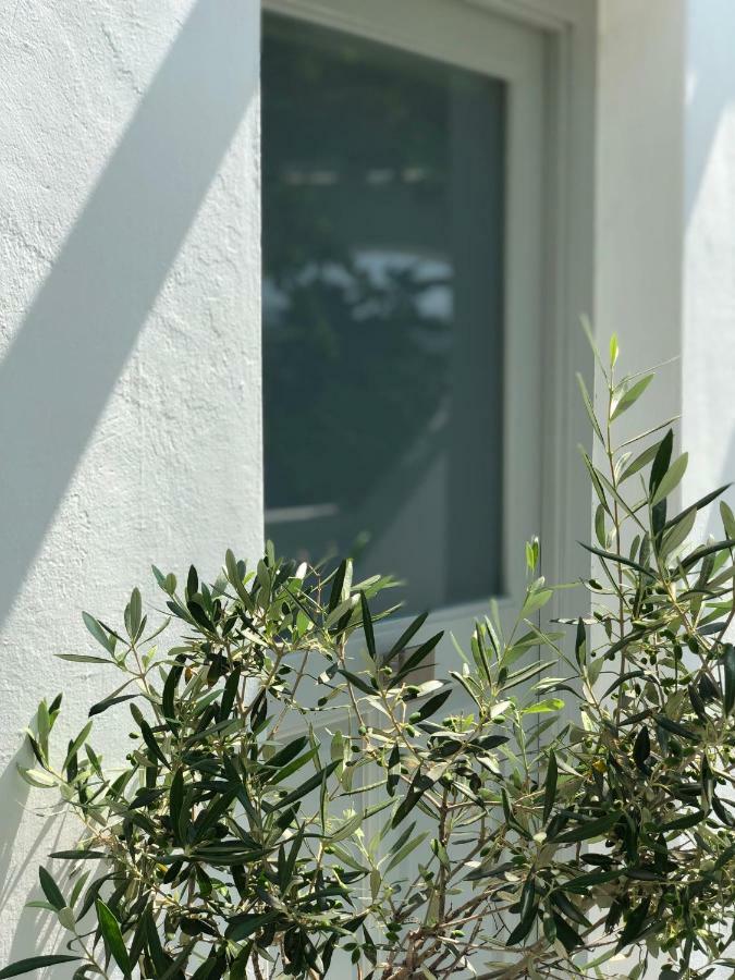 Apartment Odysseas &