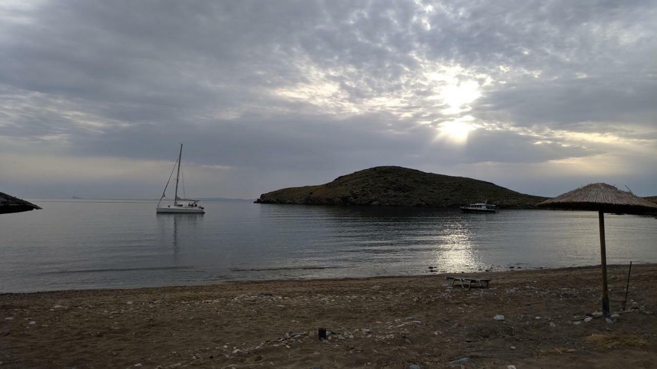 Tramonto Nel Delfini Kini