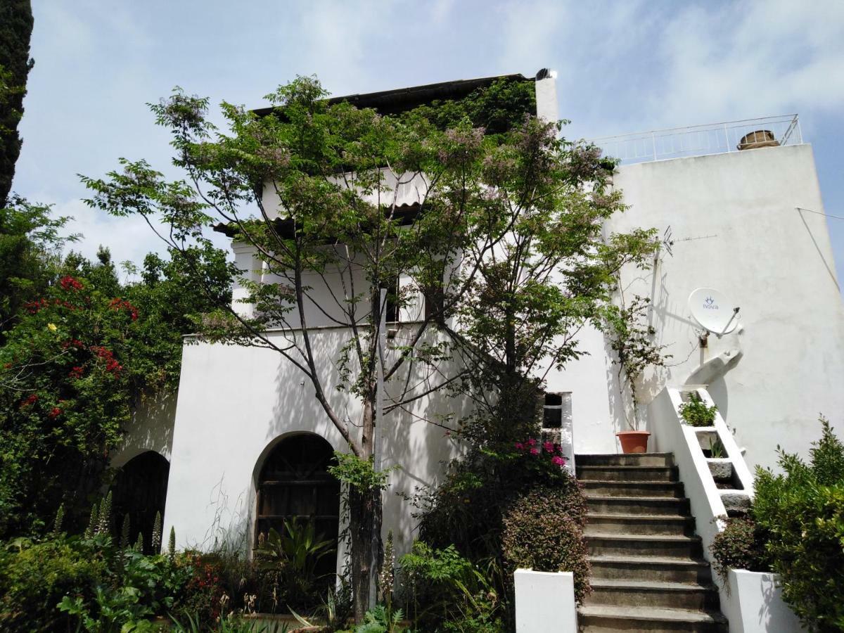 Apartment Linga Longa With Sea View And Beach