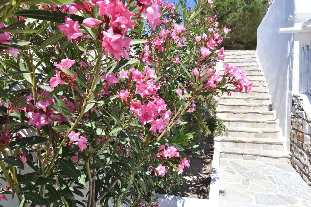 Paradiso Boutique Hotel Parikia (Paros)