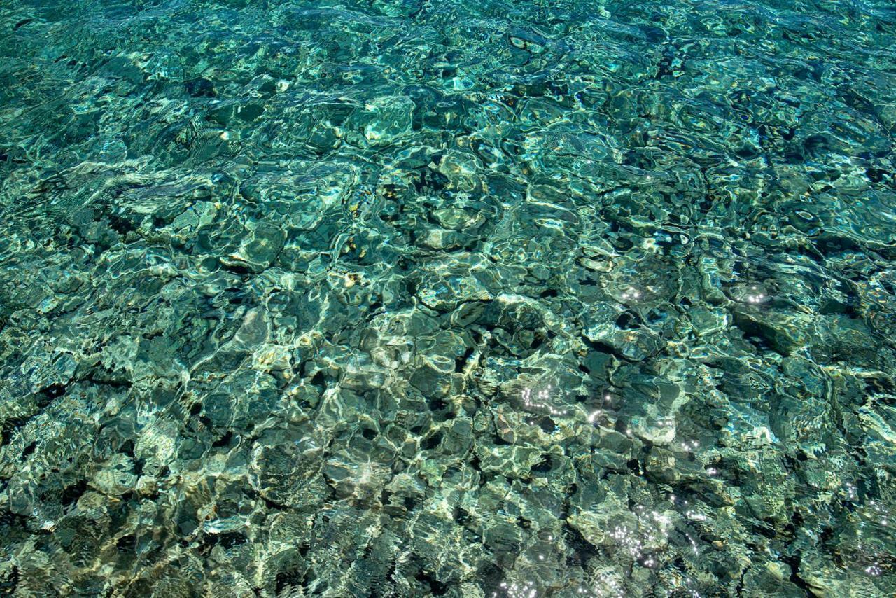 Apartment Kalypso *