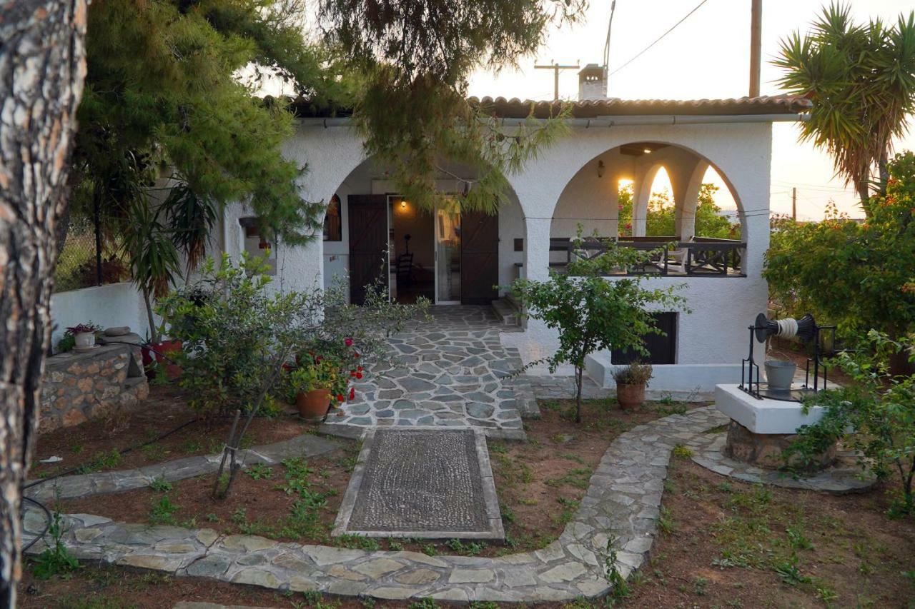 Vasilaras 3* Skala (Agistri)