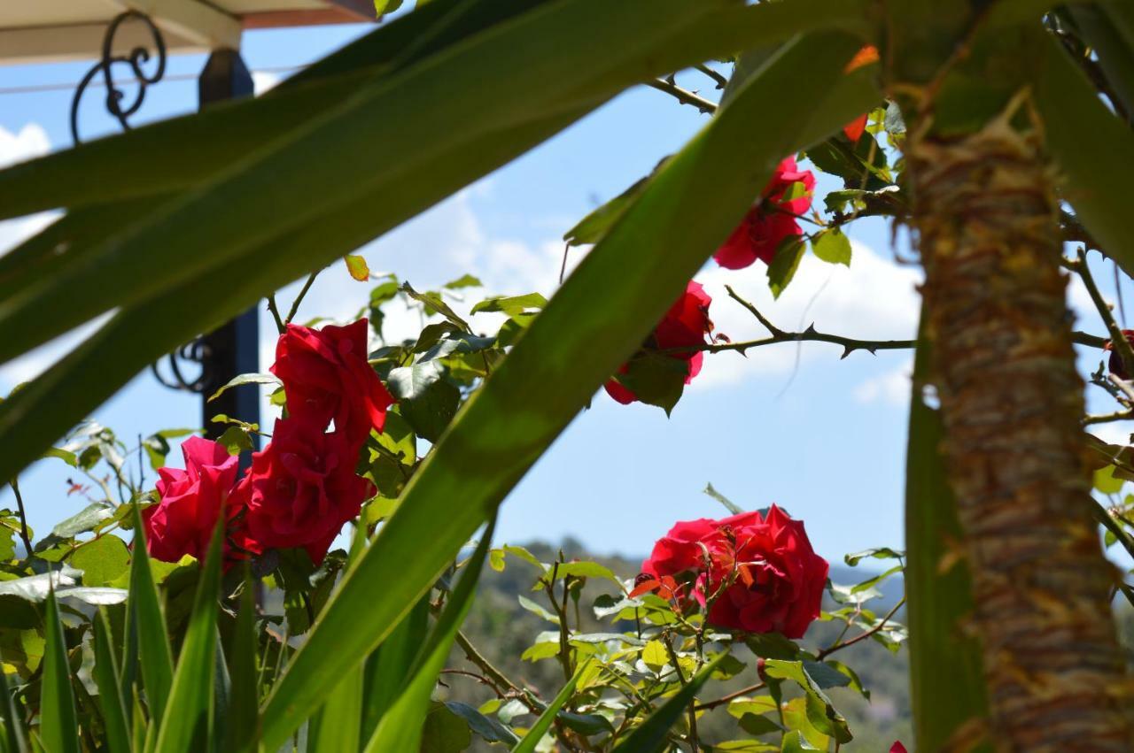 Garden View *