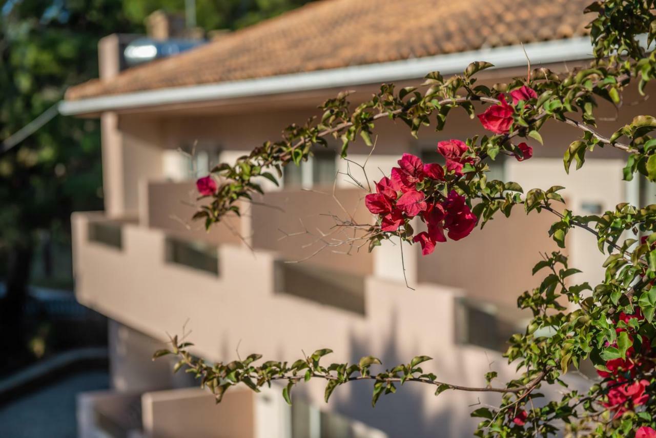 Hotel Vasilikos