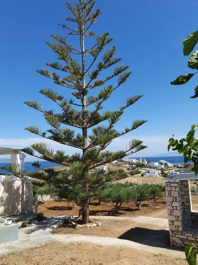 Anthoula's Sea View Holiday home Piso Livadi