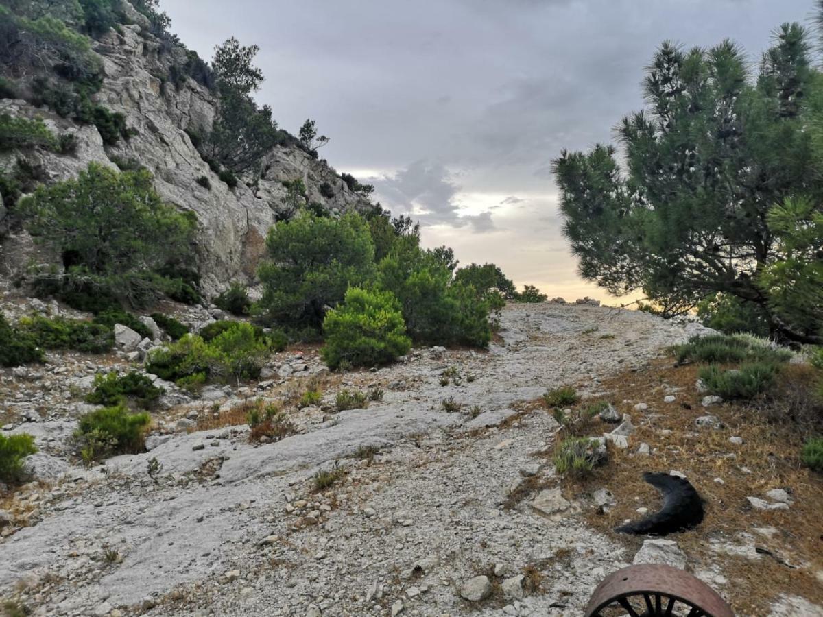 Your Second Apartment Kefalos (Kos)