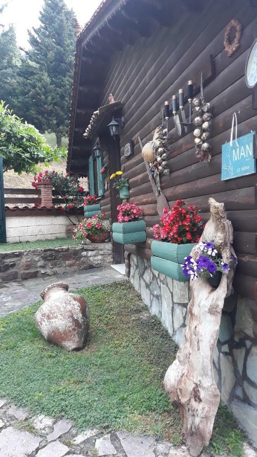 Traditional Country house Trikala (Thessaly)