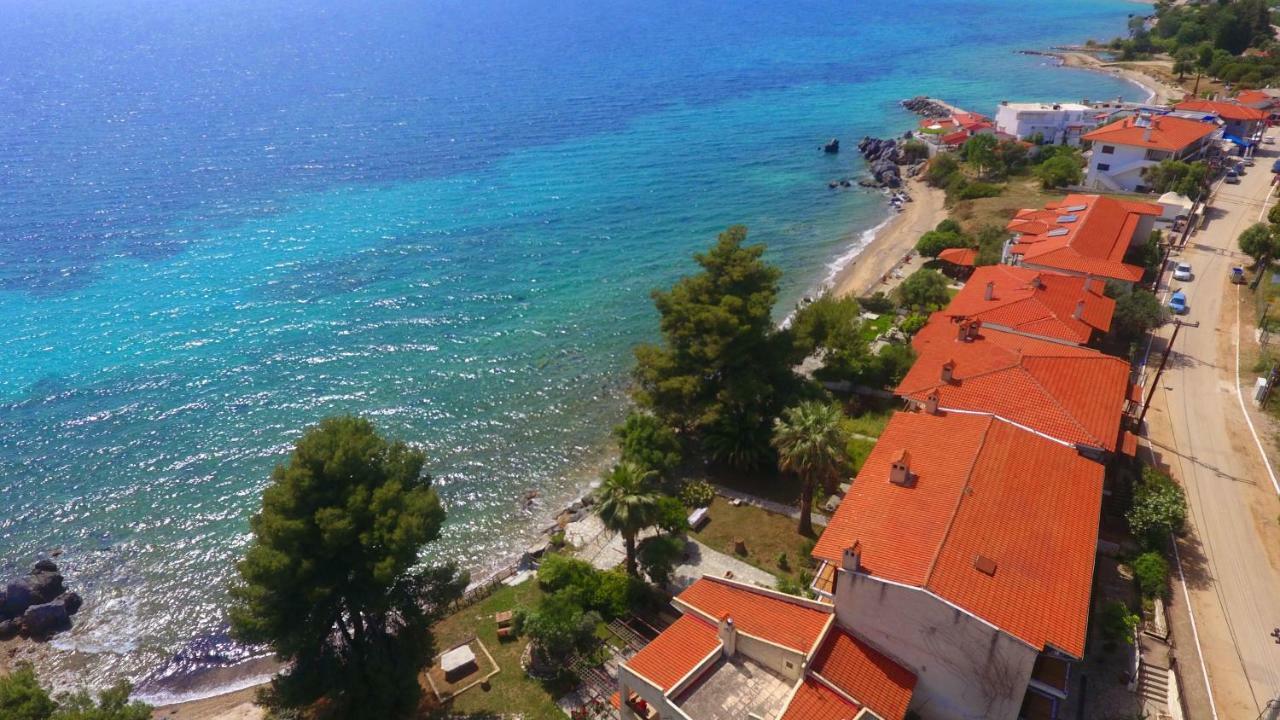 Kyana Big Blue * Agia Paraskevi (Kassandra)