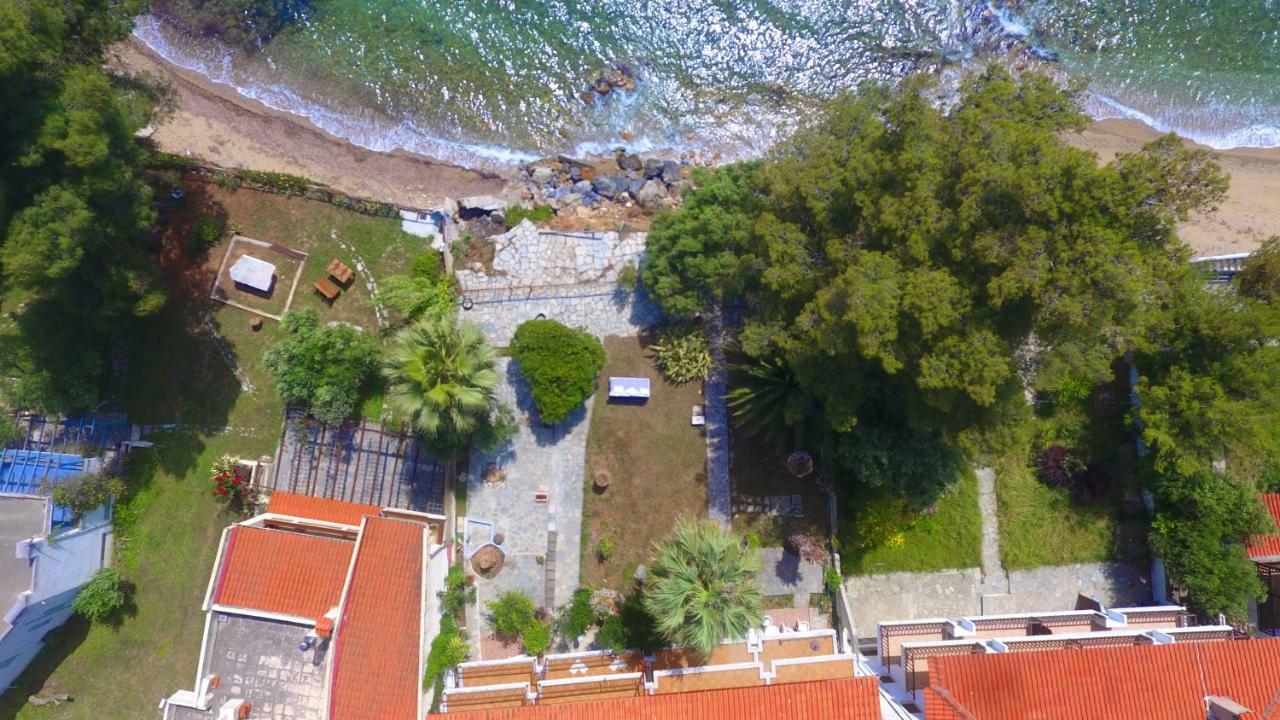 Apartment Kyana Big Blue *