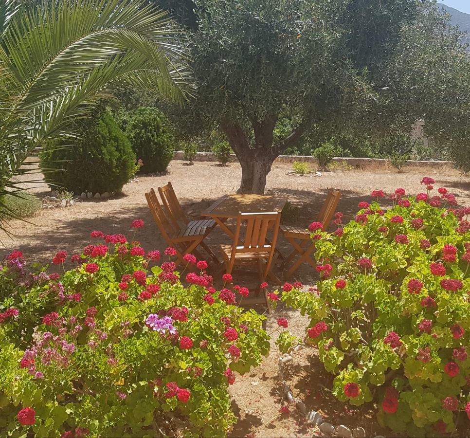 Tilos Fantasy 3* Livadia (Tilos)