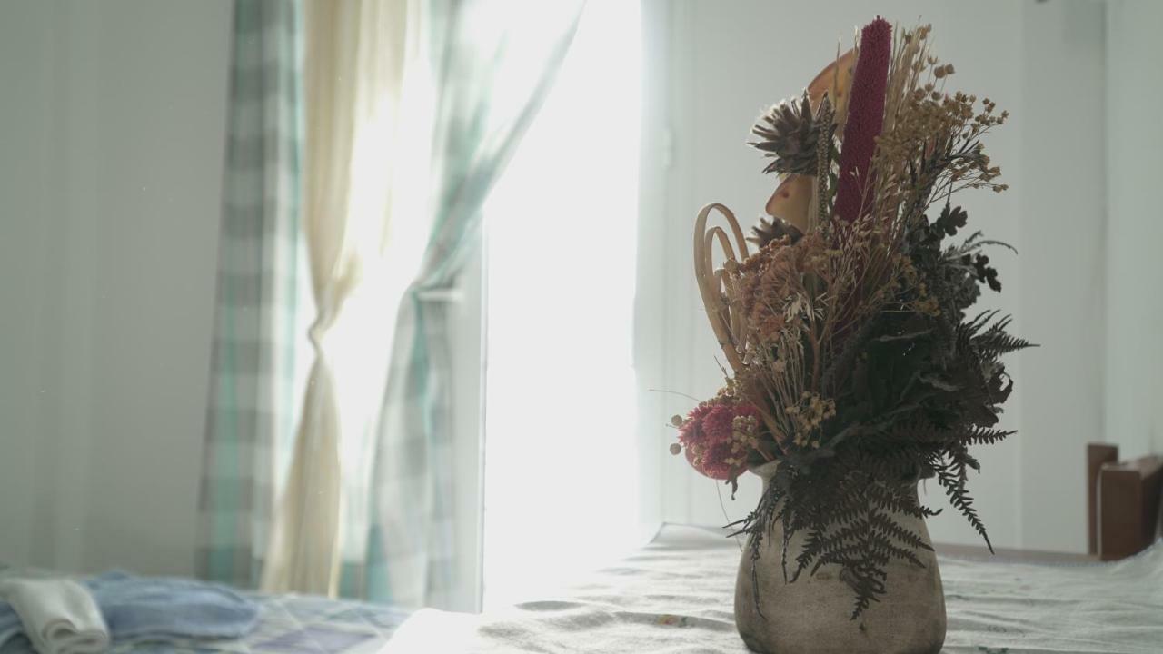 Toula Studio * Fournoi Korseon