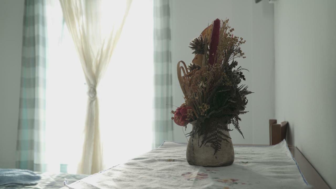Toula Studio *
