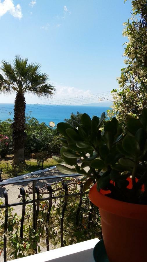 Polymnia Apartment Spartia (Kefalonia)