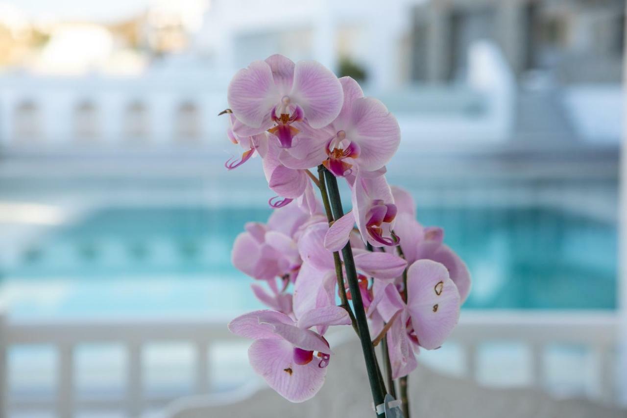 The George Mykonos 4* Platys Gialos (Mykonos)