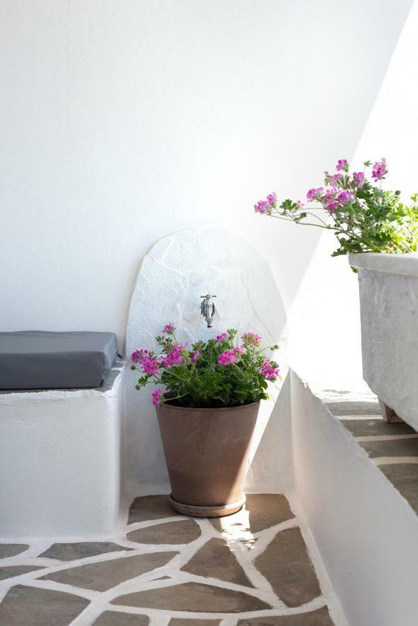 Golden Paros Apartment