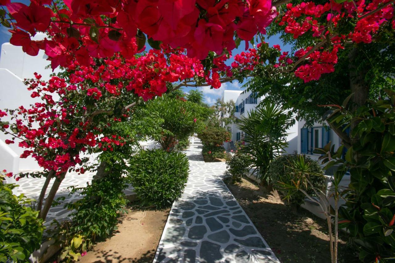 Hotel Acrogiali Beachfront Mykonos 4*
